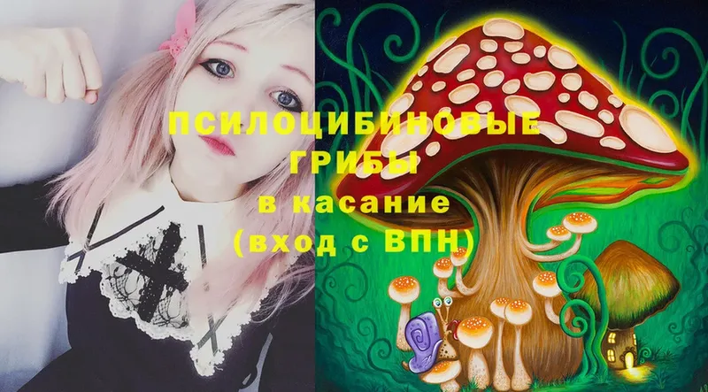 как найти закладки  Кировск  Галлюциногенные грибы Magic Shrooms 